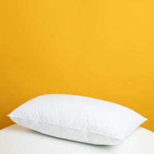 Handloom Cushion Cover Set of 2